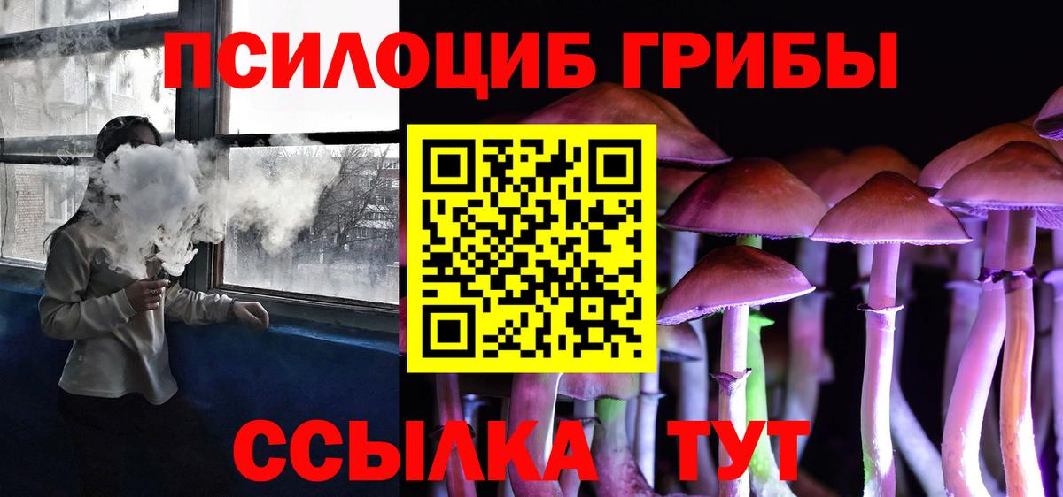 Белгород  Псилоцибиновые грибы мицелий  купить  сайты  Вход с VPN 